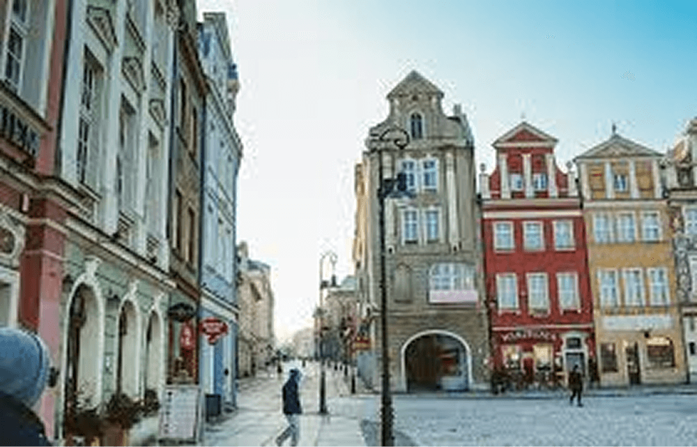 Immigration Services website preview